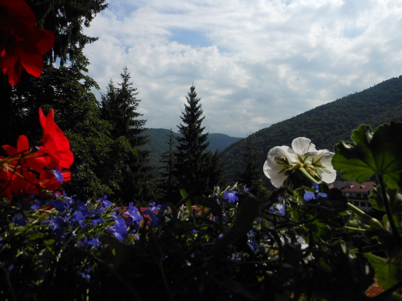 Bistro-Pension La Teleferic Sinaia Exteriér fotografie