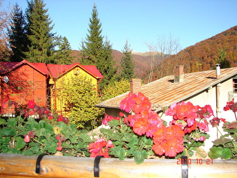 Bistro-Pension La Teleferic Sinaia Exteriér fotografie