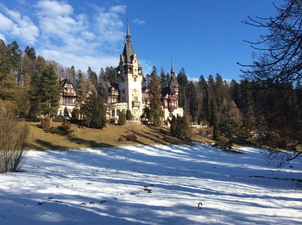 Bistro-Pension La Teleferic Sinaia Exteriér fotografie