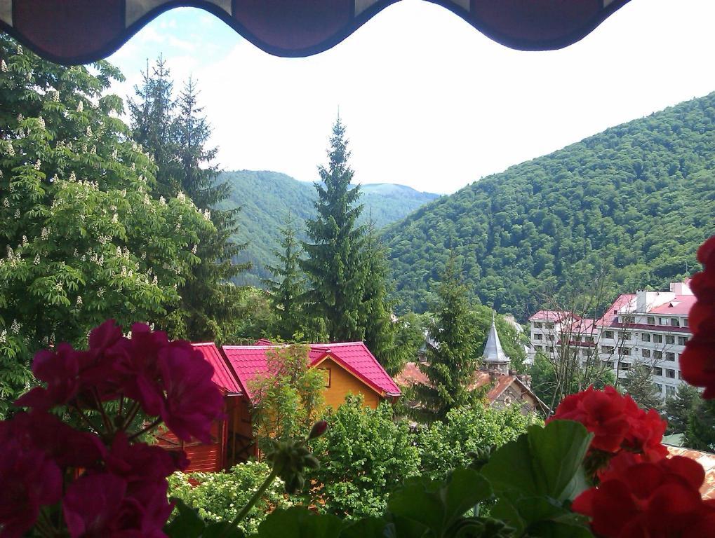 Bistro-Pension La Teleferic Sinaia Exteriér fotografie