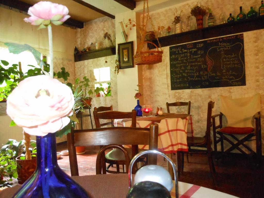 Bistro-Pension La Teleferic Sinaia Exteriér fotografie